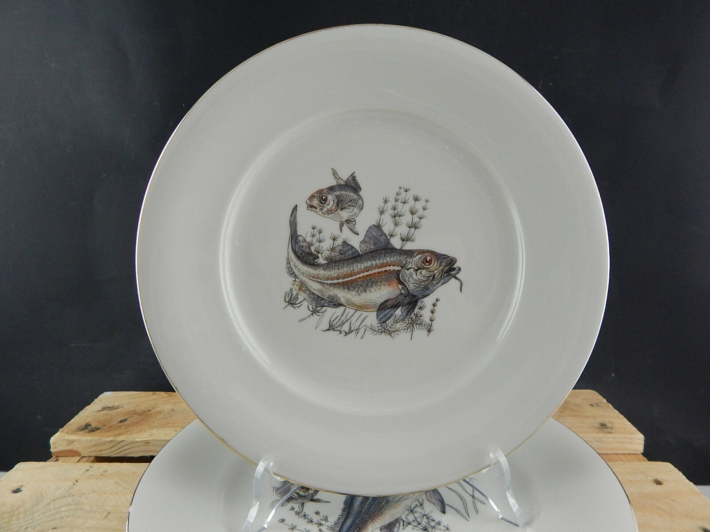 ANTICO SERVIZIO 6 PIATTI WINTERLING BAVARIA PORCELLANA COLLEZIONE PESCI