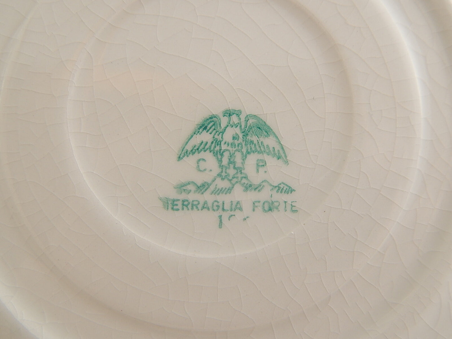 ANTICO PIATTO TERRAGLIA FORTE CERAMICA MAIOLICA BLU BIANCO ITALIA COUNTRY CHIC