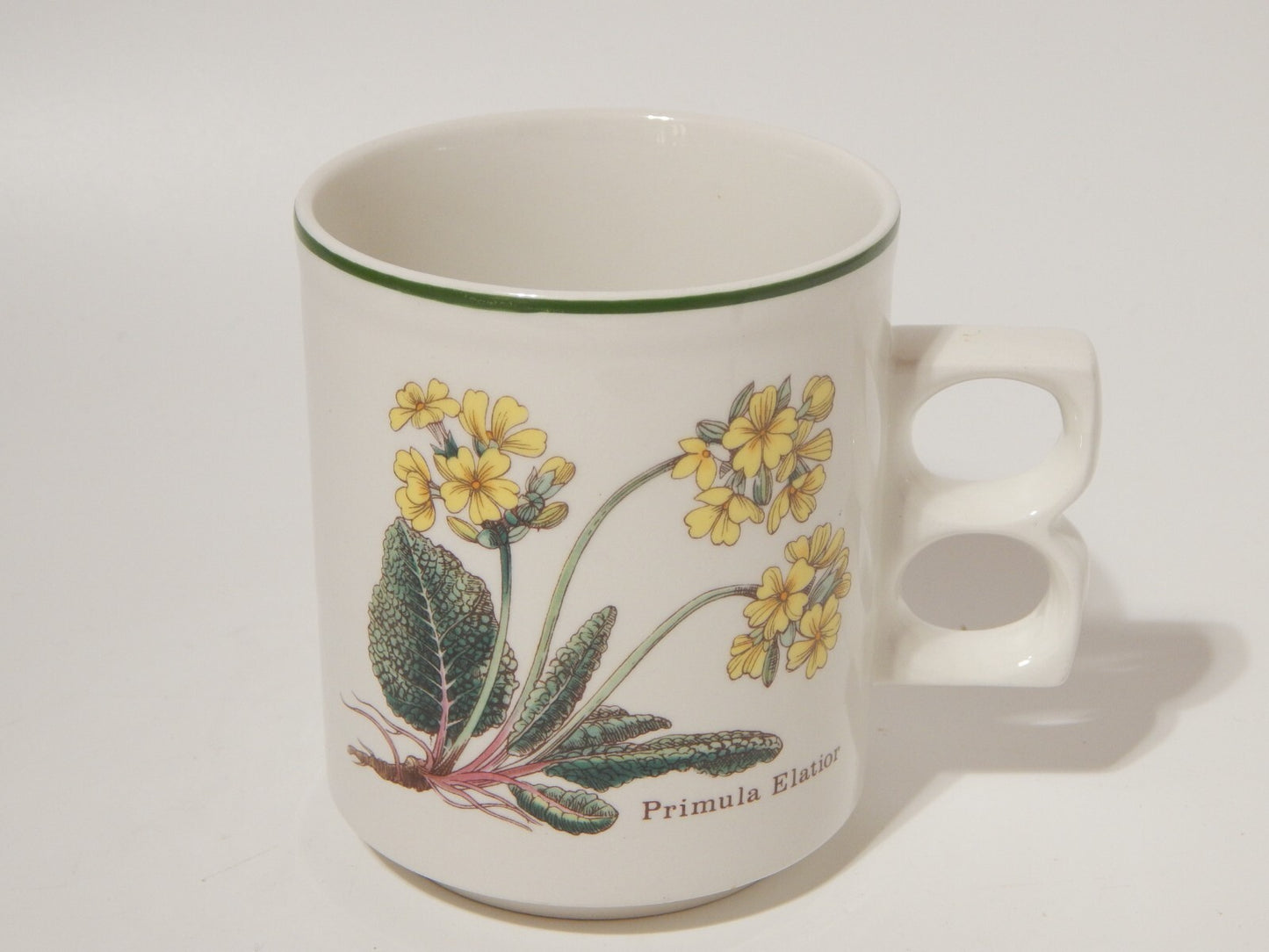 CERAMICA ENOCH WEDGWOOD TAZZONE BOTANICA FLORABUNDA PRIMULA ELATIOR MADE ENGLAND