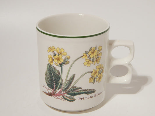 CERAMICA ENOCH WEDGWOOD TAZZONE BOTANICA FLORABUNDA PRIMULA ELATIOR MADE ENGLAND
