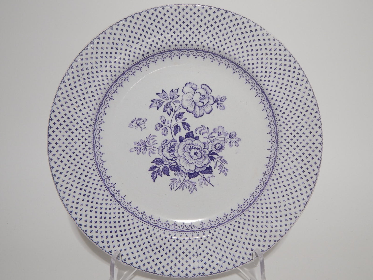 ANTICO RARO PIATTO CERAMICA STAFFORDSHIRE PRIMAVESI DEL 1860 ERMINE BORDER VIOLA