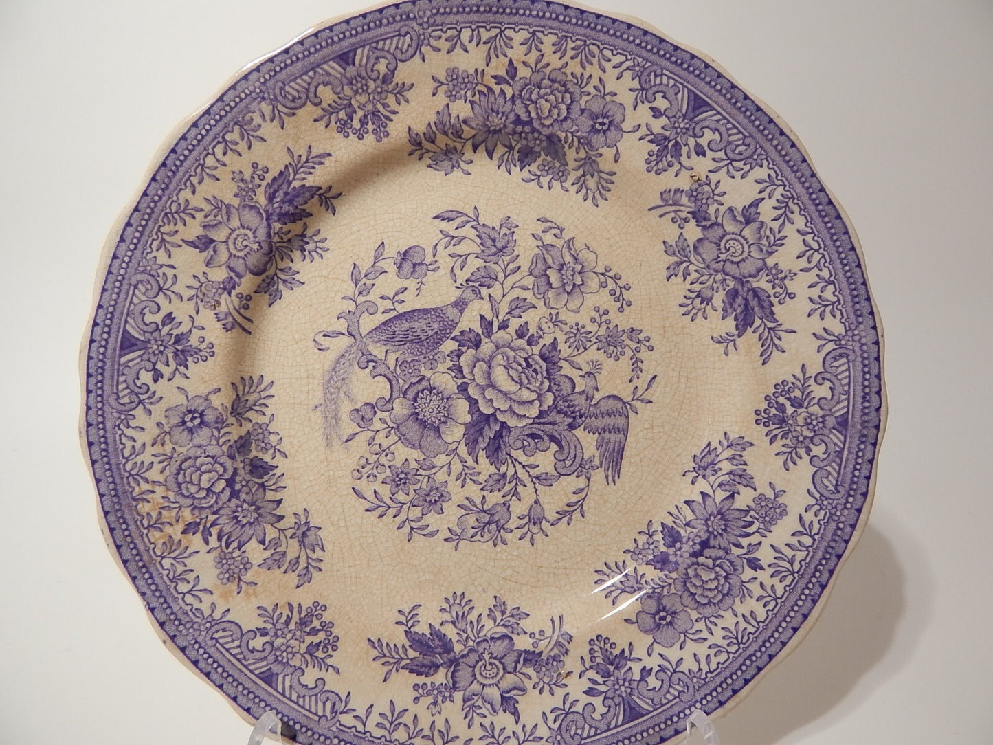 ANTICO RARO PIATTO CERAMICA RORSTRAND DISEGNO ASIATIC PHEASANT VIOLA FINE 1800