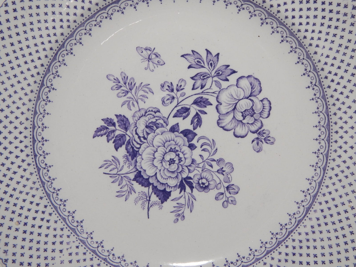 ANTICO SET 18 PIATTI CERAMICA STAFFORDSHIRE PRIMAVESI 1860 ERMINE BORDER VIOLA