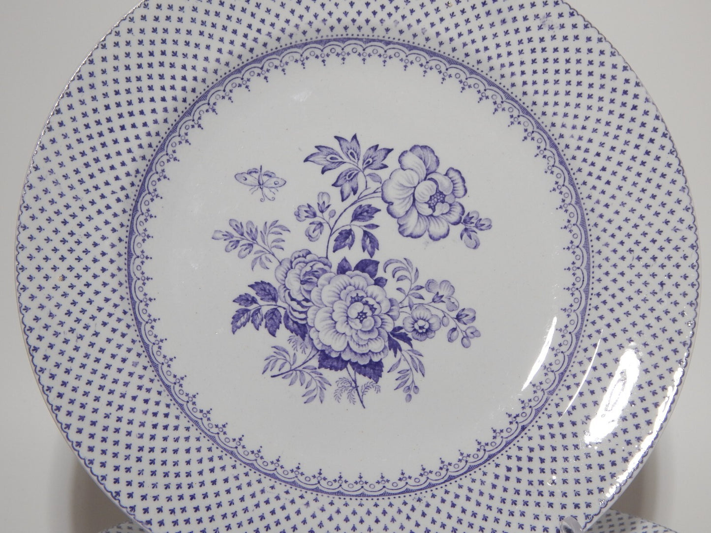 ANTICO SET 6 PIATTI CERAMICA STAFFORDSHIRE PRIMAVESI 1860 ERMINE BORDER VIOLA