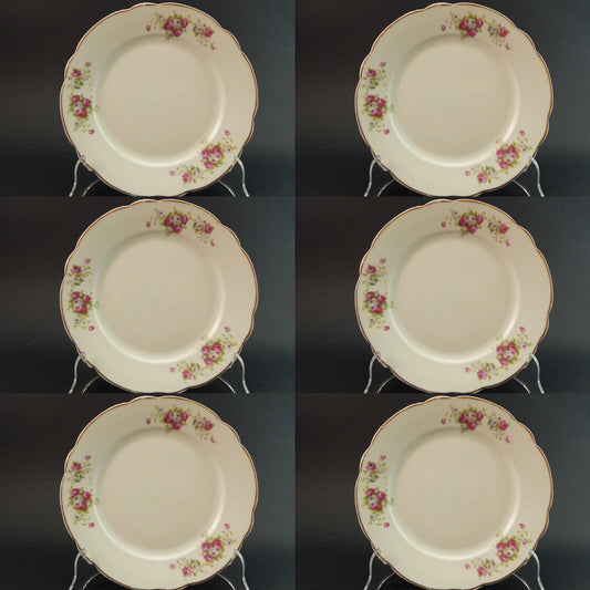 ANTICO RARO LIMOGES SERVIZIO 6 PIATTI PIANI PORCELLANA FINE 800 BOUQUET DI ROSE