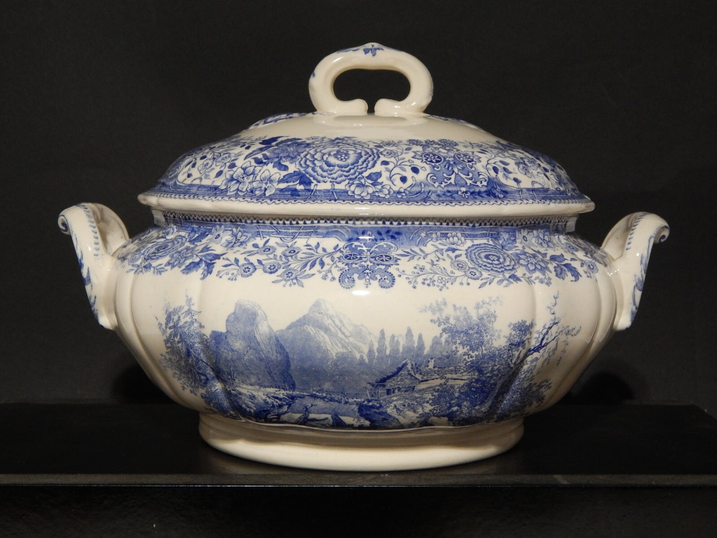 VINTAGE ZUPPIERA CENTROTAVOLA PORCELLANA VILLEROY&BOCH METTLACH SAAR BURGENLAND