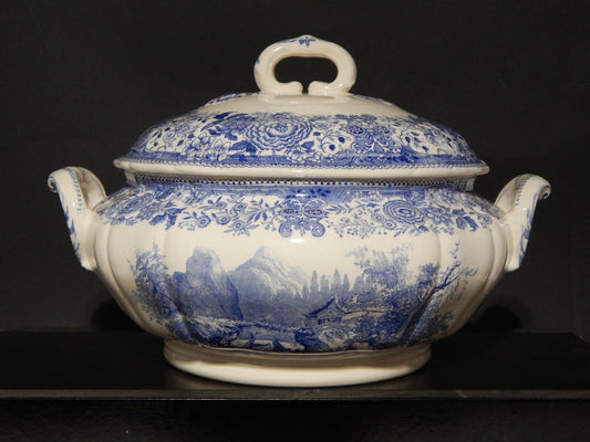 VINTAGE ZUPPIERA CENTROTAVOLA PORCELLANA VILLEROY&BOCH METTLACH SAAR BURGENLAND