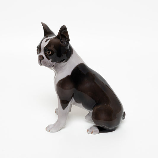 RARA STATUINA PORCELLANA ROYAL COPENHAGEN BING&GRONDAHL "Boston Terrier" 2330