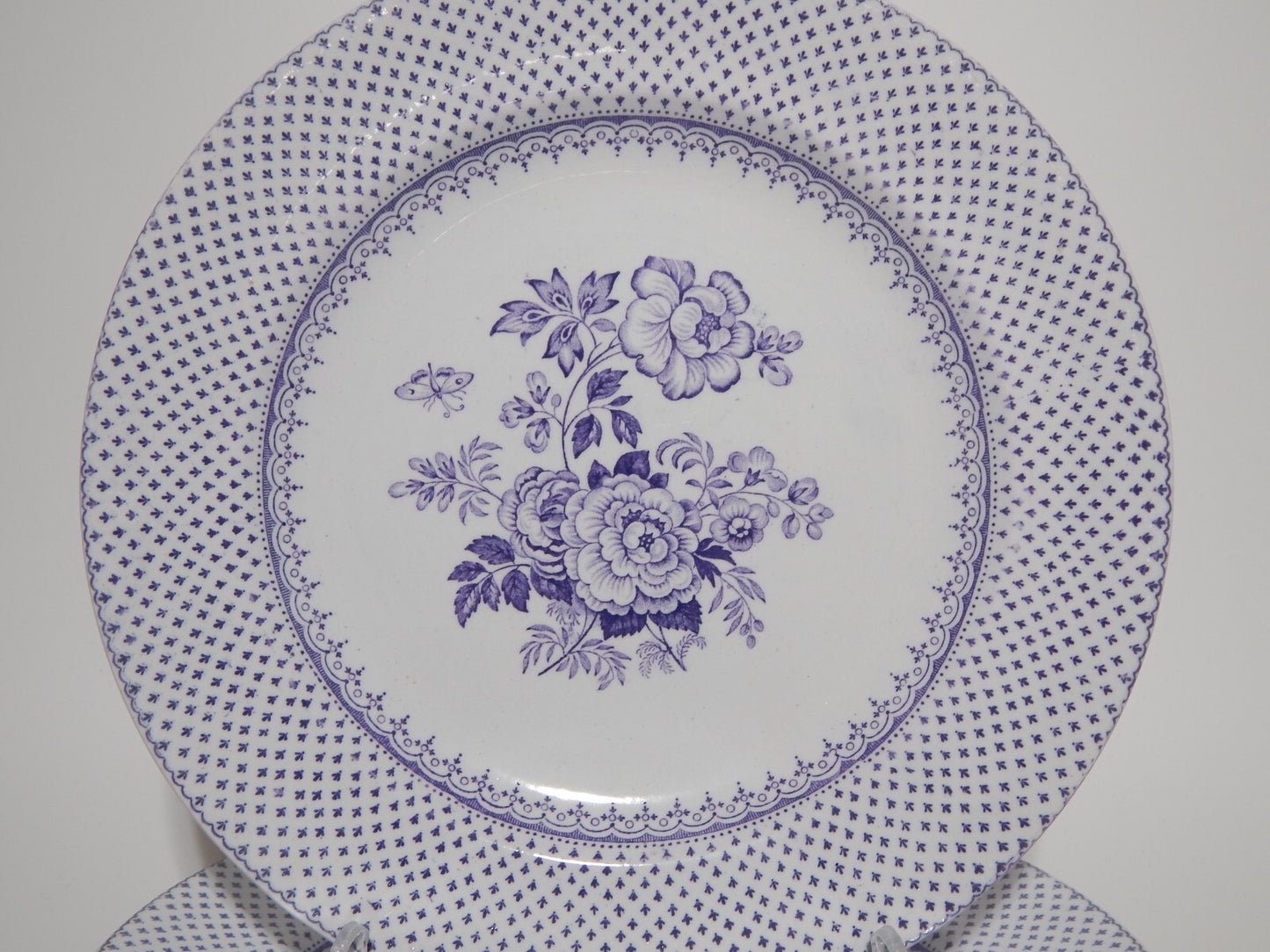 ANTICO SET 6 PIATTI CERAMICA STAFFORDSHIRE PRIMAVESI 1860 ERMINE BORDER VIOLA