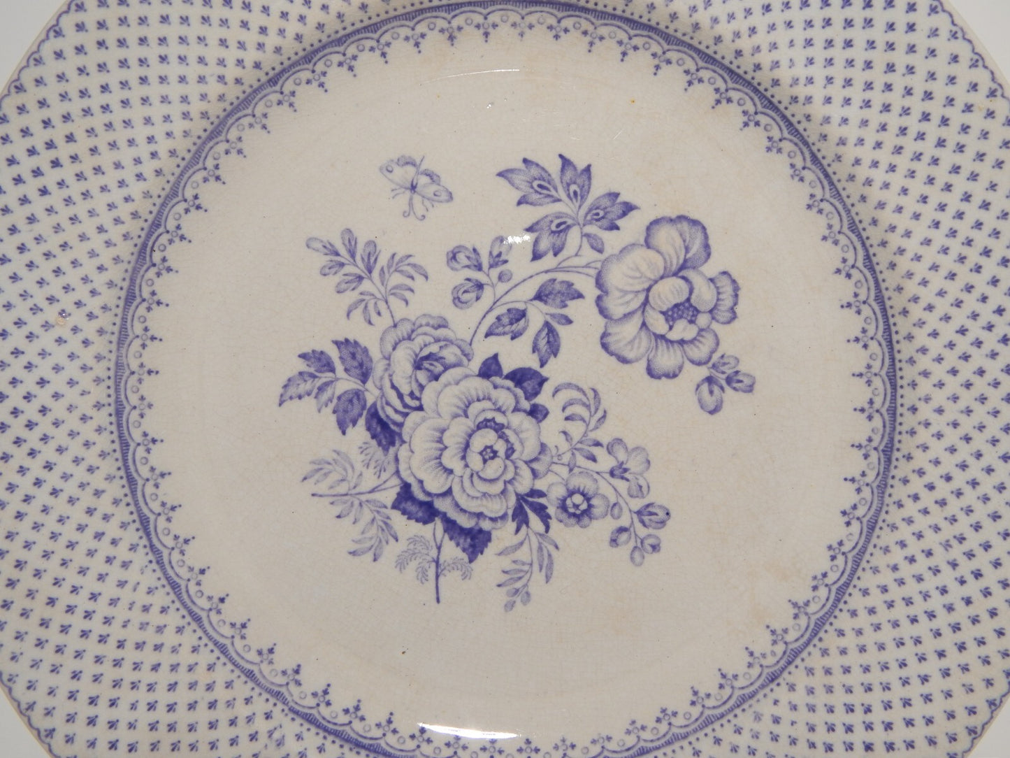 ANTICO PIATTO CERAMICA STAFFORDSHIRE PRIMAVESI DEL 1860 ERMINE BORDER VIOLA ###