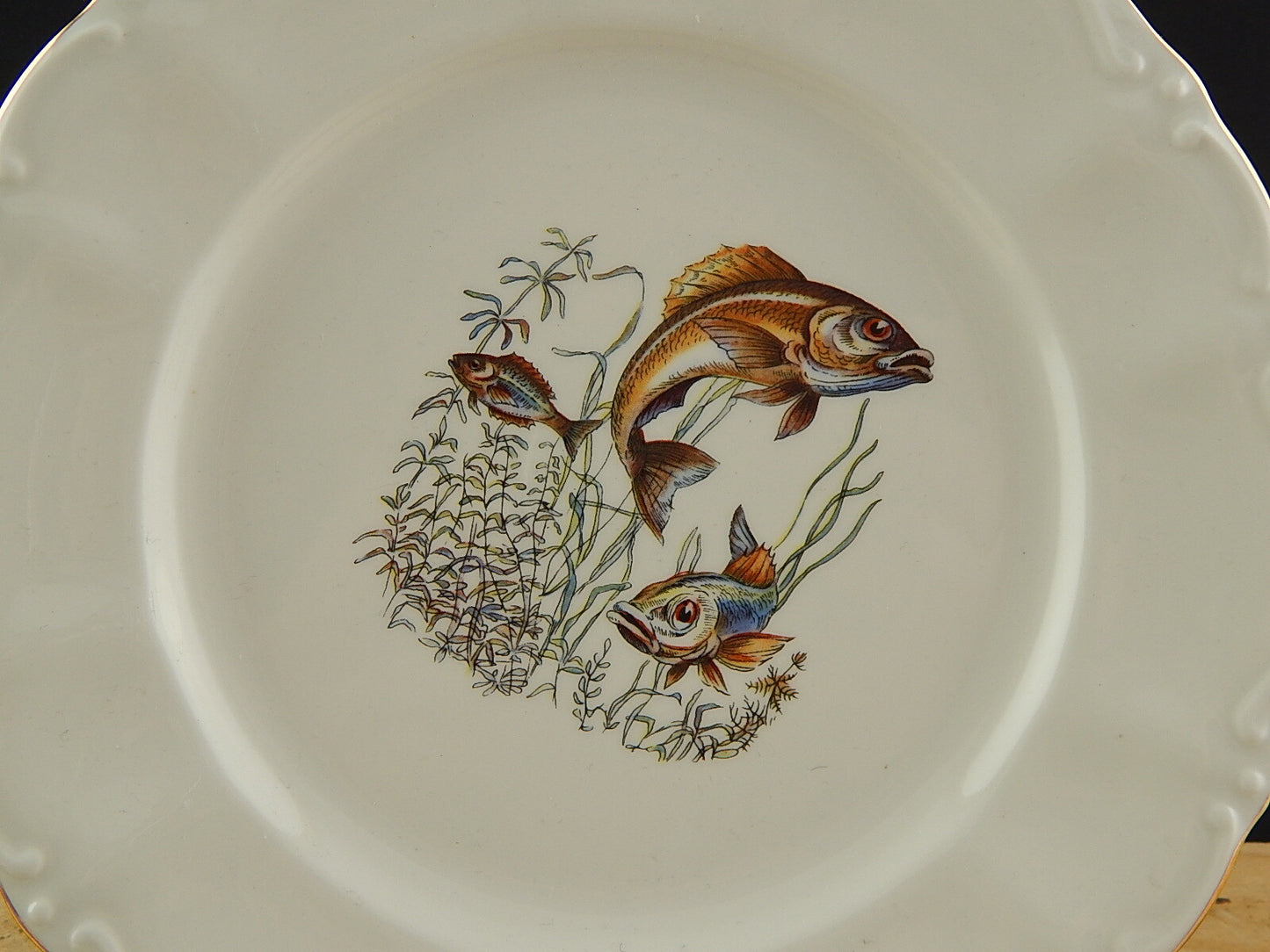 VINTAGE ROCAILLE SERVIZIO 6 PIATTI ROYAL TOGNANA PORCELLANA D’ITALIA PESCI