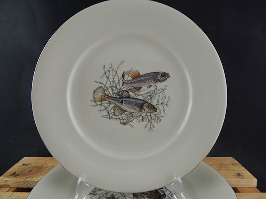 ANTICO SERVIZIO 6 PIATTI WINTERLING BAVARIA PORCELLANA COLLEZIONE PESCI
