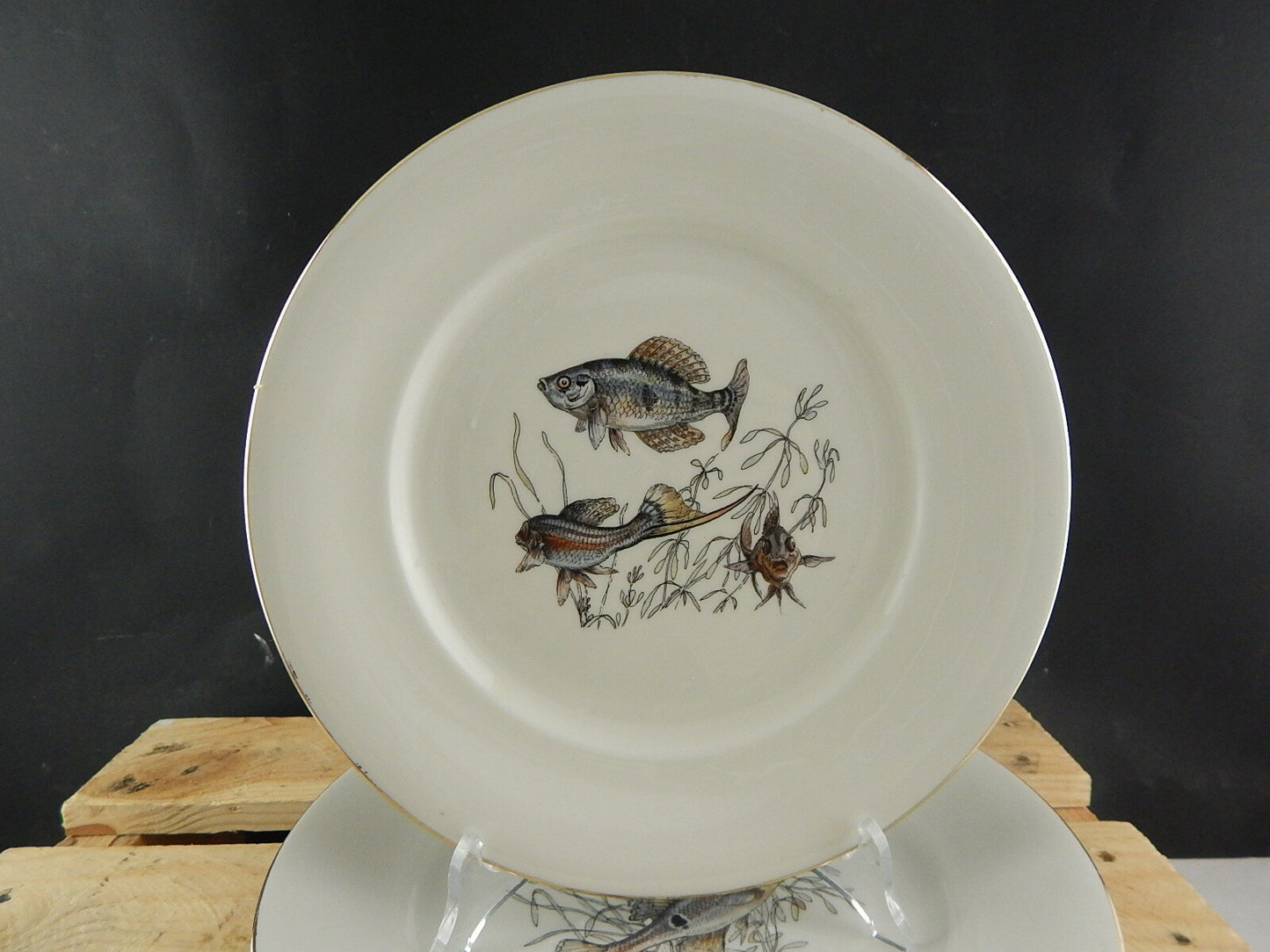 ANTICO SERVIZIO 6 PIATTI WINTERLING BAVARIA PORCELLANA COLLEZIONE PESCI