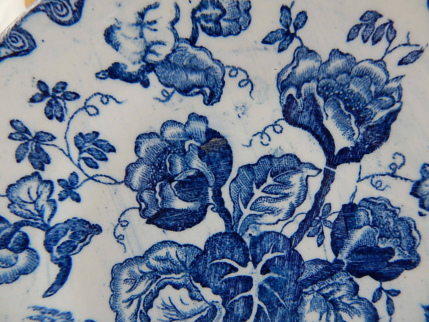 CERAMICA GABUTTI CHIUSA PESIO RARITÀ PIATTO DA MUSEO BLU FLOW FINE 1800