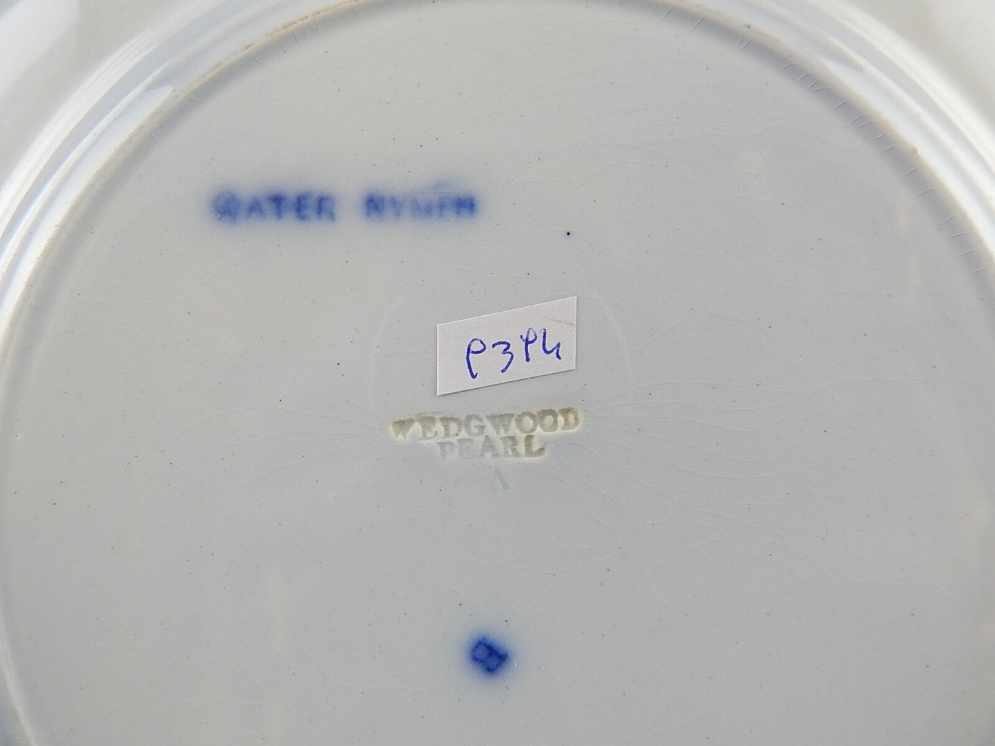 ANTICO RARO PIATTO PORCELLANA WEDGWOOD WATER NYMPH DIPINTO MANO FINE '800 #9394