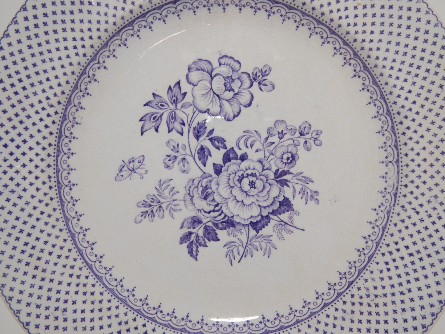 ANTICO PIATTO CERAMICA STAFFORDSHIRE PRIMAVESI DEL 1860 ERMINE BORDER VIOLA #