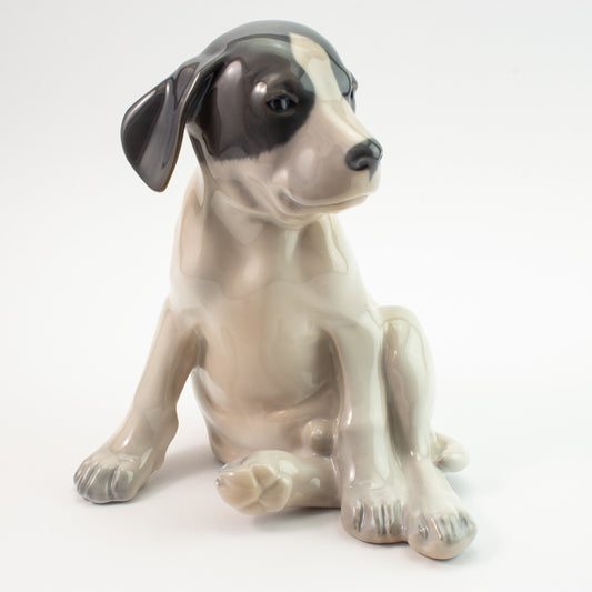 STATUINA PORCELLANA ROYAL COPENHAGEN "Cucciolo di Pointer" 259 ORIGINALE 20x18