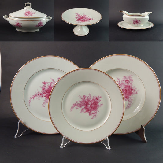 ANTICO SERVIZIO TAVOLA PIATTI PORCELLANA JOHANN HAVILAND BAVARIA DECORO SAVONA