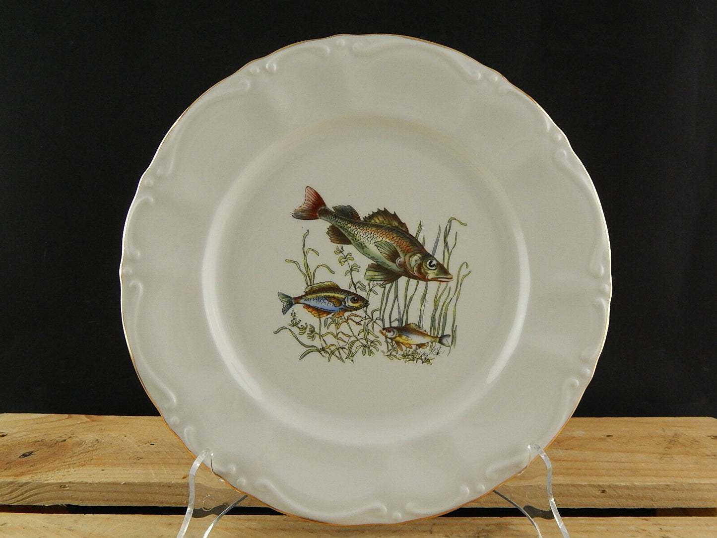 VINTAGE ROCAILLE SERVIZIO 6 PIATTI ROYAL TOGNANA PORCELLANA D’ITALIA PESCI