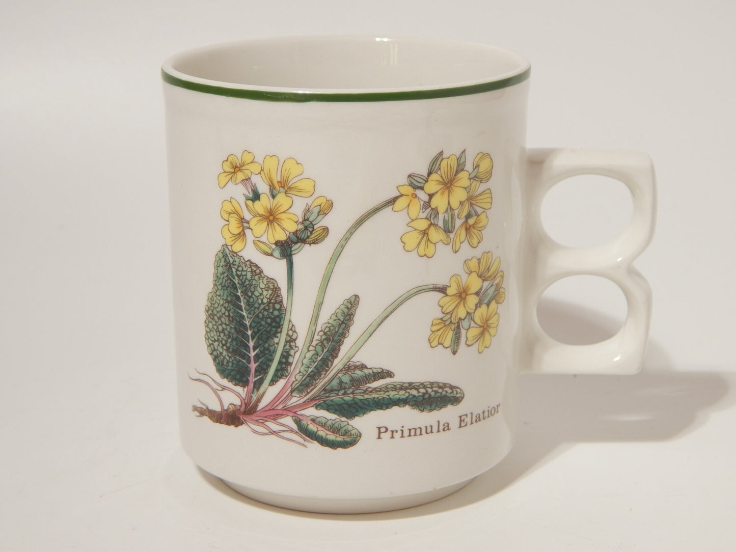 CERAMICA ENOCH WEDGWOOD TAZZONE BOTANICA FLORABUNDA PRIMULA ELATIOR MADE ENGLAND