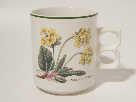 CERAMICA ENOCH WEDGWOOD TAZZONE BOTANICA FLORABUNDA PRIMULA ELATIOR MADE ENGLAND