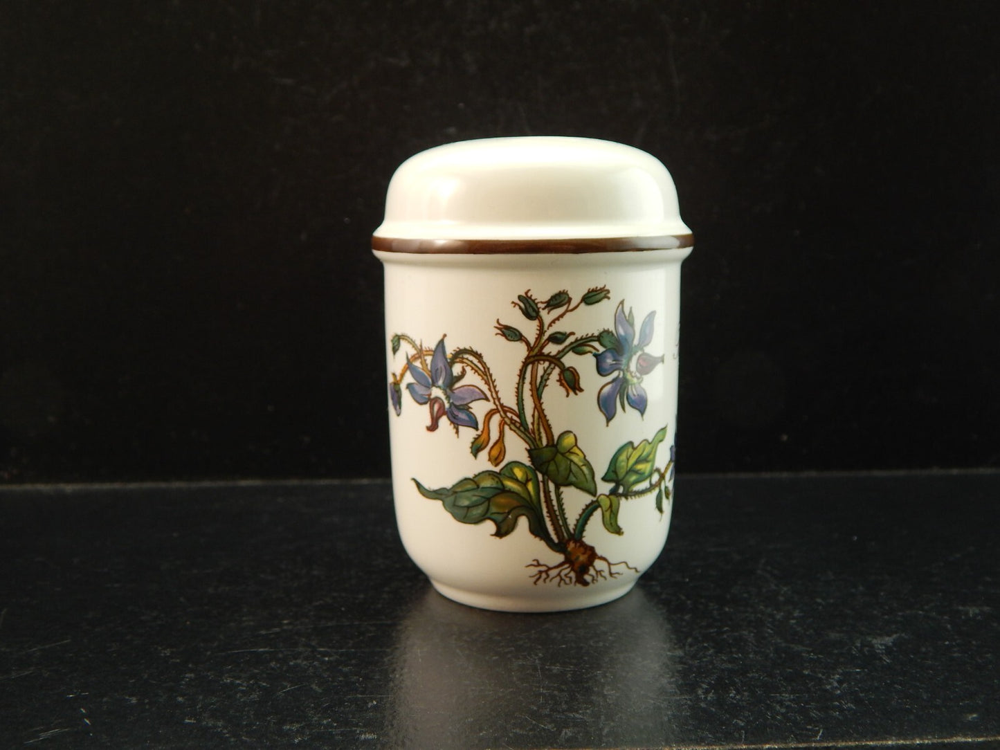 VINTAGE VILLEROY&BOCH SET SALE E PEPE PORCELLANA COLLEZIONE BOTANICA