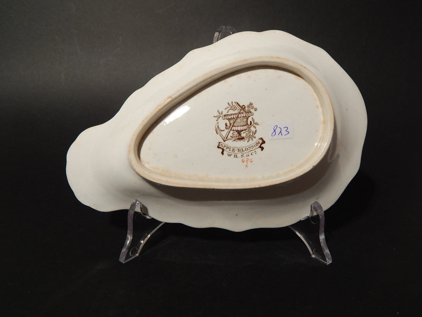 ANTICA 1850 RAVIERA PIATTO CONCHIGLIA SEMI PORCELLANA RIDGWAY &C. APPLE BLOSSOM