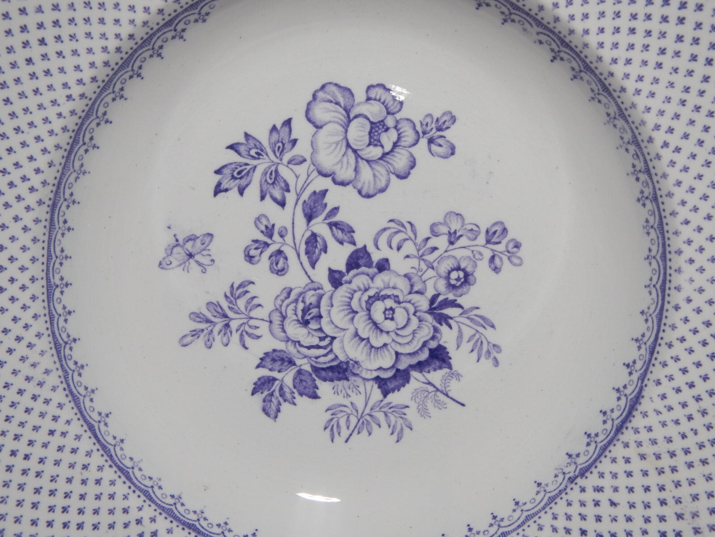ANTICO SET 12 PIATTI CERAMICA STAFFORDSHIRE PRIMAVESI 1860 ERMINE BORDER VIOLA