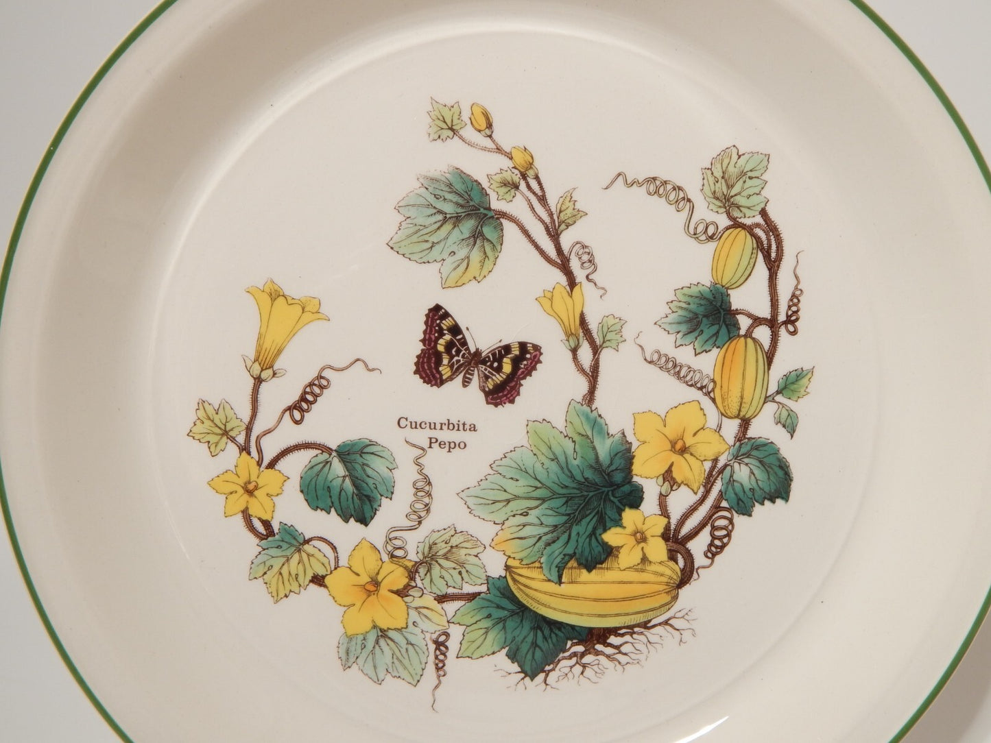 CERAMICA ENOCH WEDGWOOD VINTAGE SERVIZIO 18 PIATTI SERIE BOTANICA FLORABUNDA