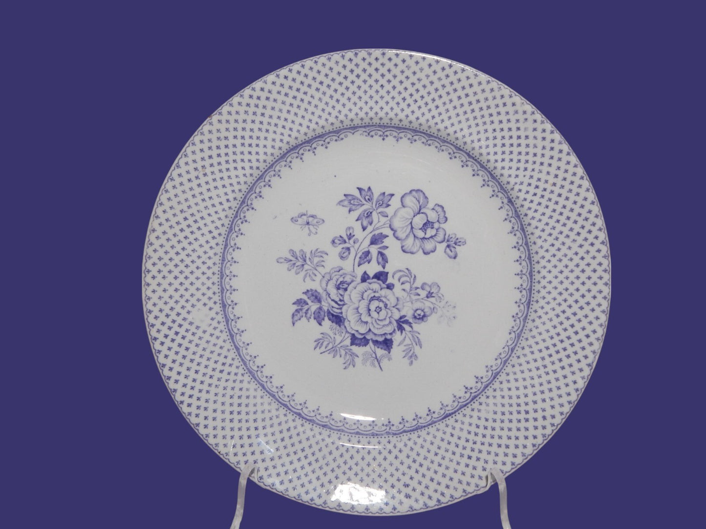 ANTICO PIATTO CERAMICA STAFFORDSHIRE PRIMAVESI DEL 1860 ERMINE BORDER VIOLA