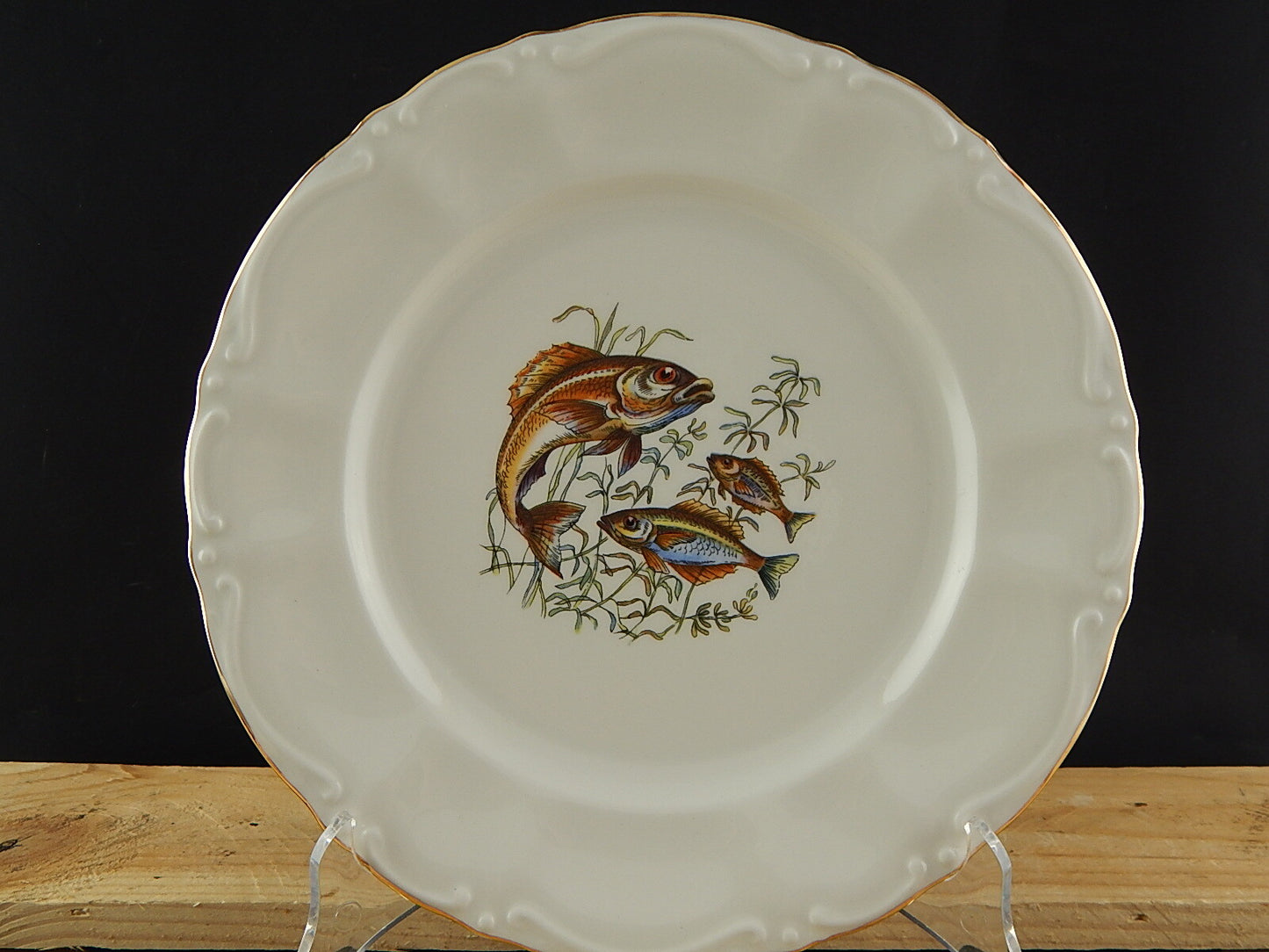 VINTAGE ROCAILLE SERVIZIO 6 PIATTI ROYAL TOGNANA PORCELLANA D’ITALIA PESCI