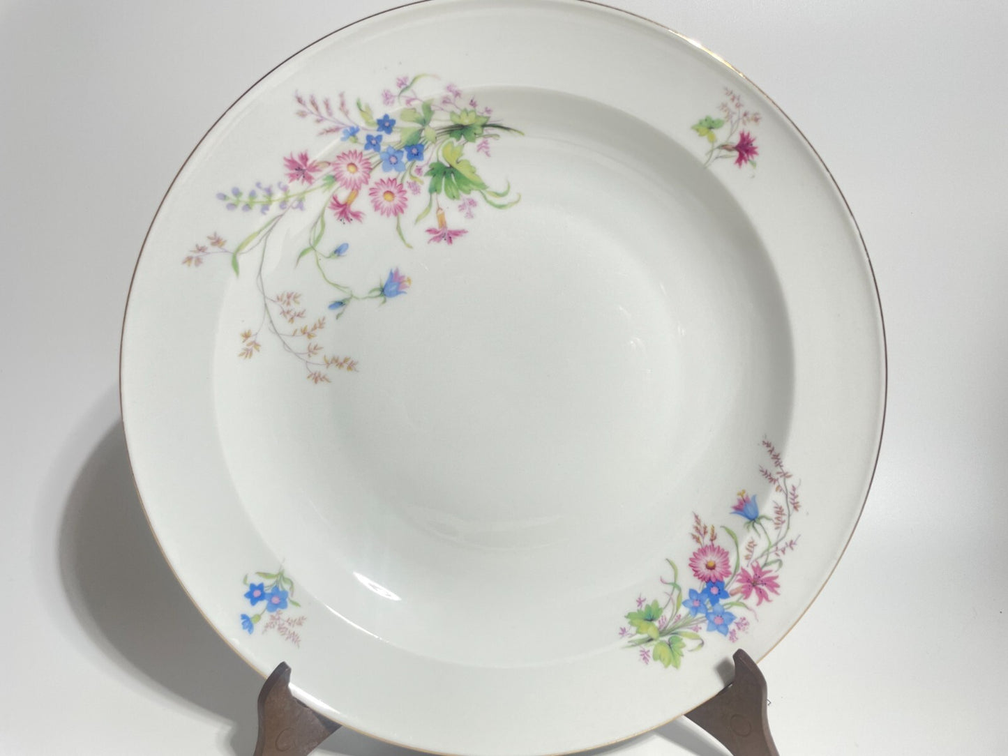 VINTAGE SERVIZIO TAVOLA 11 PIATTI PORCELLANA SELTMANN WEIDEN DISEGNO INGRID