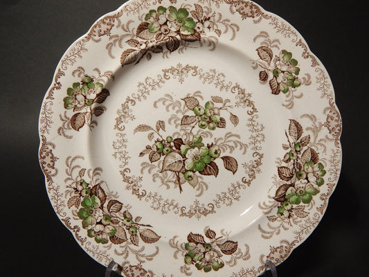 ANTICO 1850 PIATTO PIANO SEMI PORCELLANA INGLESE RIDGWAY &C. APPLE BLOSSOM #887