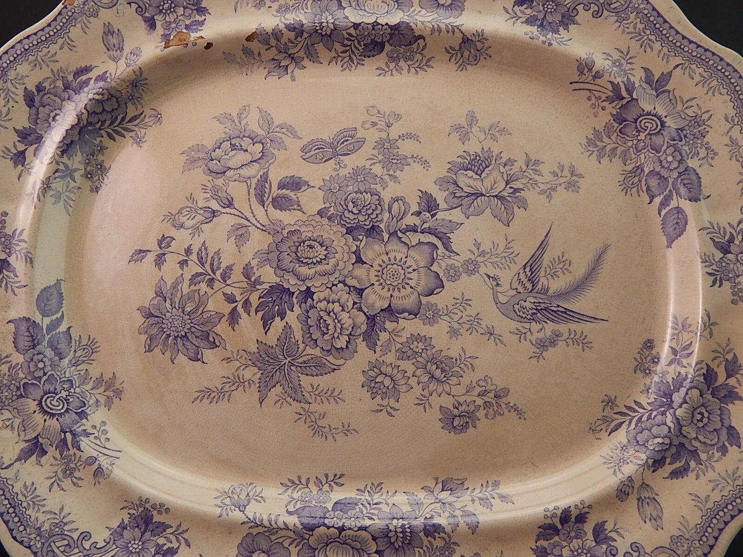 ANTICO RARO VASSOIO CERAMICA PRIMAVESI & SONS SWANSEA ASIATIC PHEASANTS FINE 800