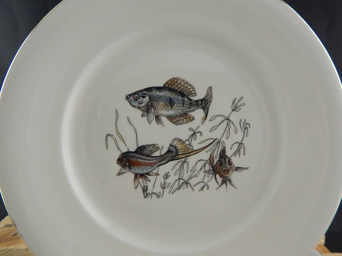 ANTICO SERVIZIO 6 PIATTI WINTERLING BAVARIA PORCELLANA COLLEZIONE PESCI
