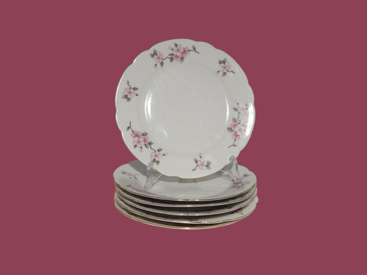 VINTAGE SERVIZIO 6 PIATTI DESSERT PORCELLANA SELTMANN WEIDEN BAVARIA FIORI PESCO