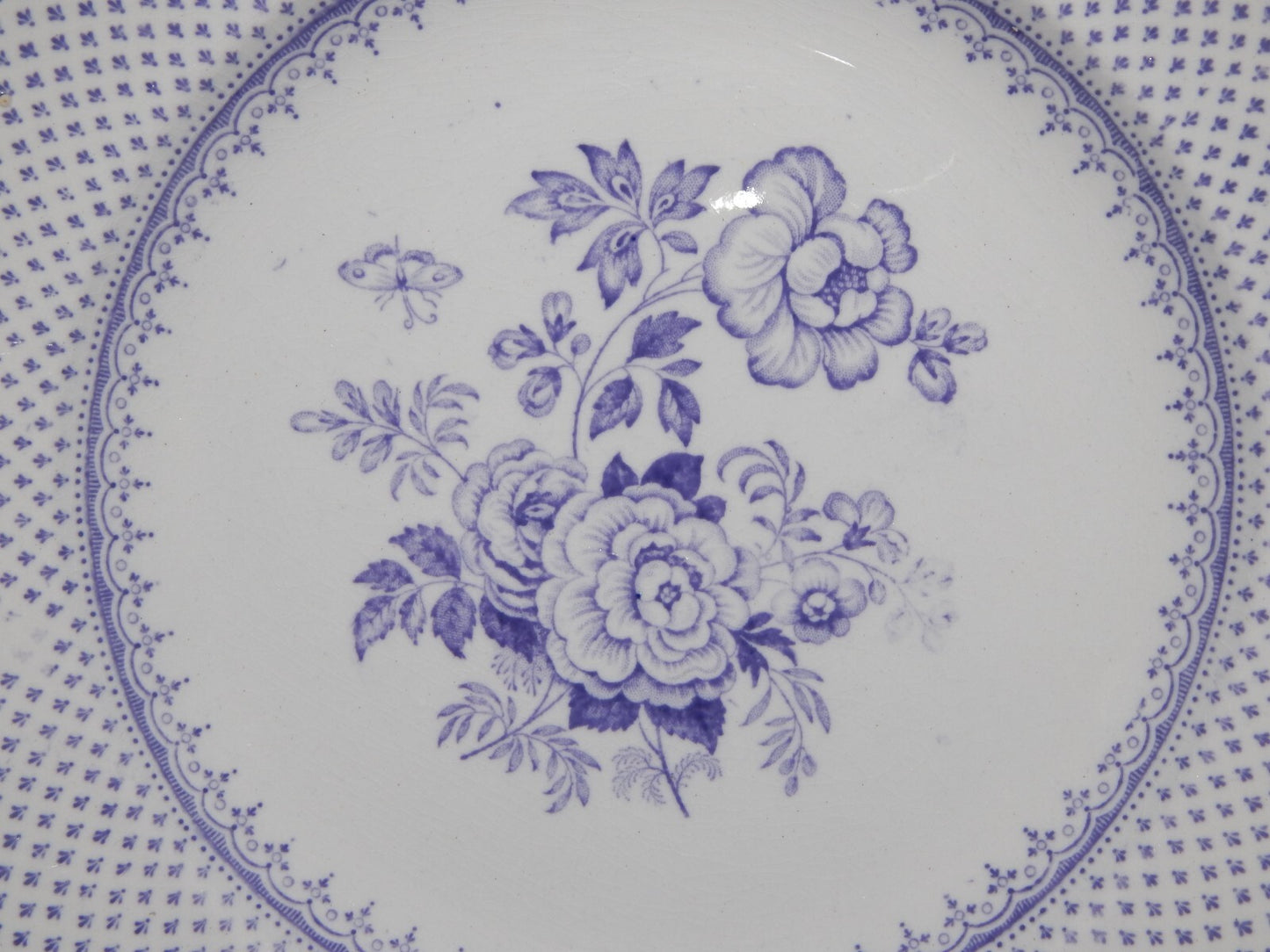 ANTICO PIATTO CERAMICA STAFFORDSHIRE PRIMAVESI DEL 1860 ERMINE BORDER VIOLA