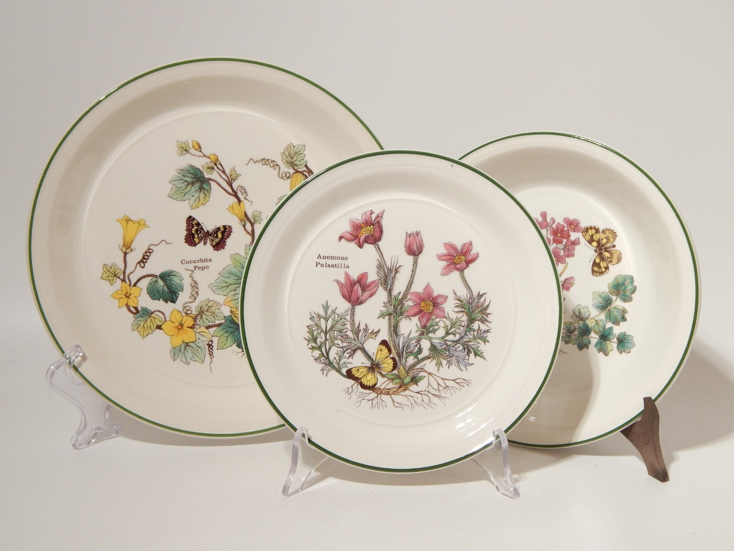 CERAMICA ENOCH WEDGWOOD VINTAGE SERVIZIO 18 PIATTI SERIE BOTANICA FLORABUNDA