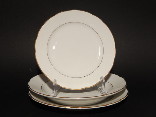 ANTICO SERVIZIO 18 PIATTI BIANCO PROFILO ORO SOCIETA' CERAMICA LAVENO SCI