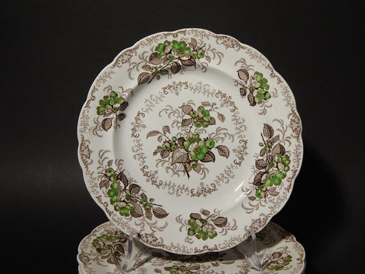 ANTICO 1850 SERVIZIO 6 PIATTI SEMI PORCELLANA INGLESE RIDGWAY &C. APPLE BLOSSOM