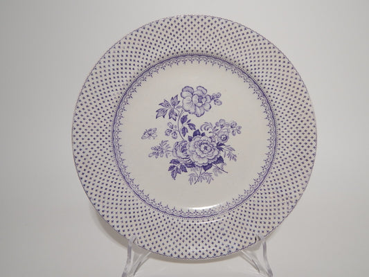 ANTICO PIATTO CERAMICA STAFFORDSHIRE PRIMAVESI DEL 1860 ERMINE BORDER VIOLA ####