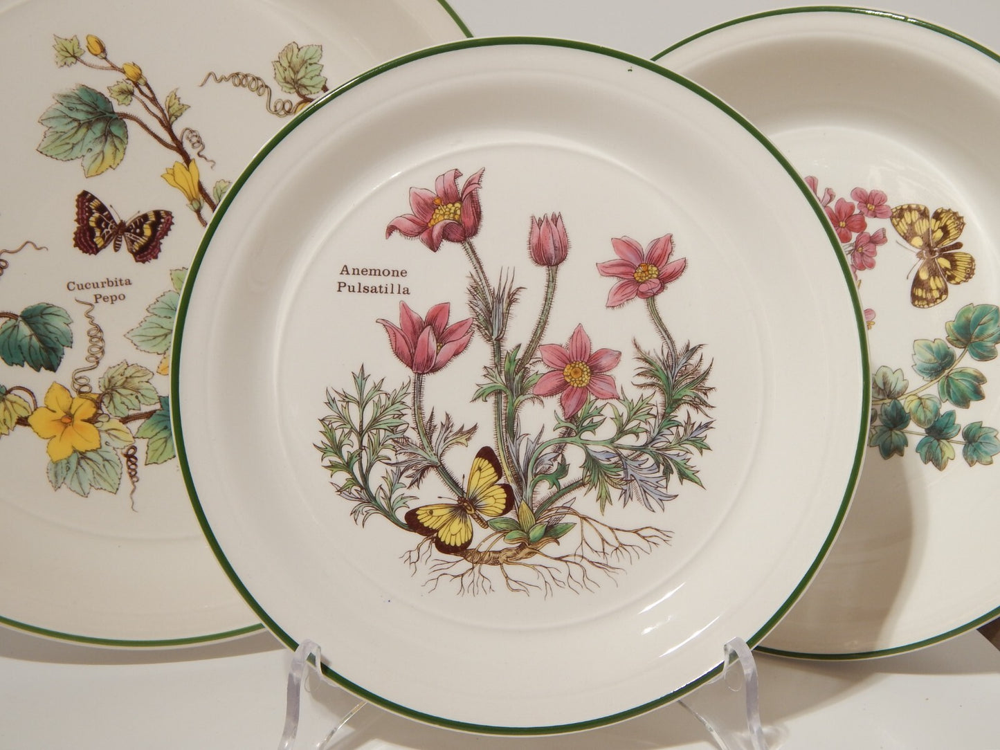 CERAMICA ENOCH WEDGWOOD VINTAGE SERVIZIO 18 PIATTI SERIE BOTANICA FLORABUNDA