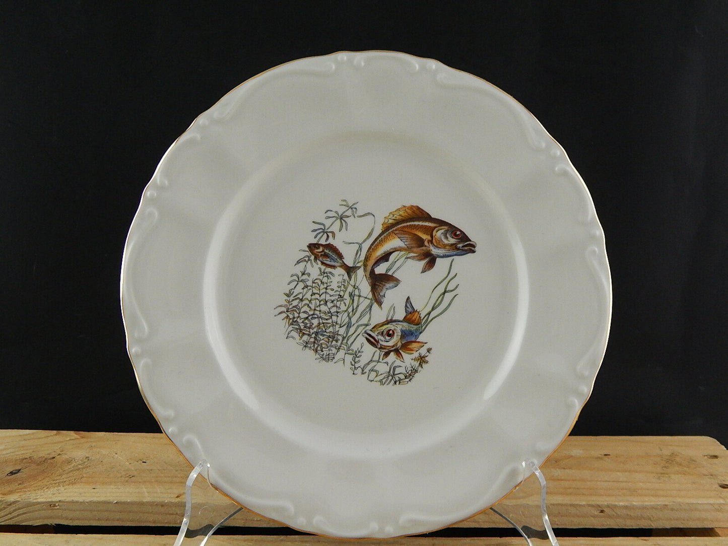 VINTAGE ROCAILLE SERVIZIO 6 PIATTI ROYAL TOGNANA PORCELLANA D’ITALIA PESCI