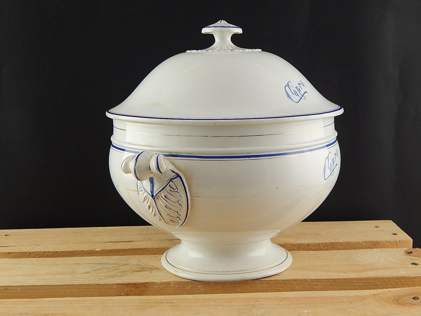 ANTICA ZUPPIERA CERAMICA RICHARD MILANO FINE 800 BIANCO BLU PERSONALIZZATA CAPRA