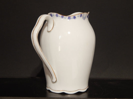 ANTICA LIBERTY 1910 PREZIOSA CARAFFA BROCCA PORCELLANA J.Z.& CO PRE-ROSENTHAL