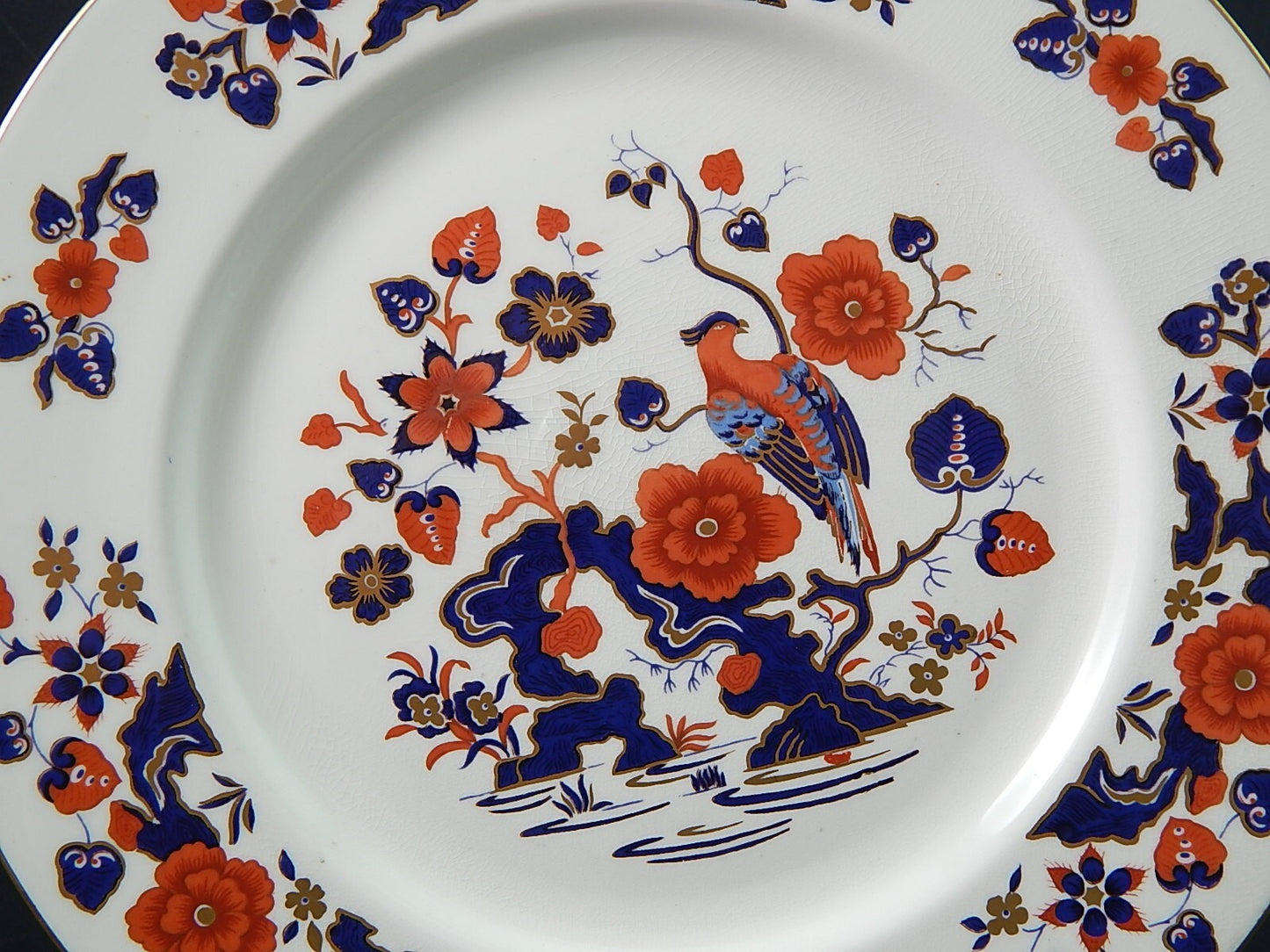 VINTAGE PIATTO PORCELLANA INGLESE MARCHIO AYNSLEY POLICROMO UCCELLO PARADISO