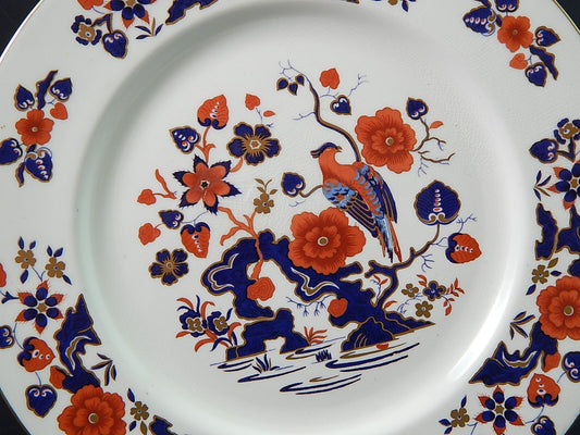 VINTAGE PIATTO PORCELLANA INGLESE MARCHIO AYNSLEY POLICROMO UCCELLO PARADISO