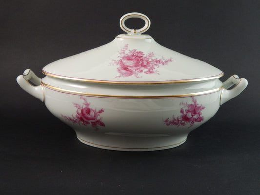 ANTICO SERVIZIO TAVOLA PIATTI PORCELLANA JOHANN HAVILAND BAVARIA DECORO SAVONA