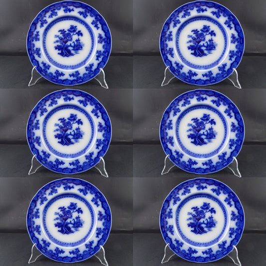 ANTICO RARISSIMO SERVIZIO 6 PIATTI PORCELLANA WEDGWOOD PEARL CHUSAN META' 800