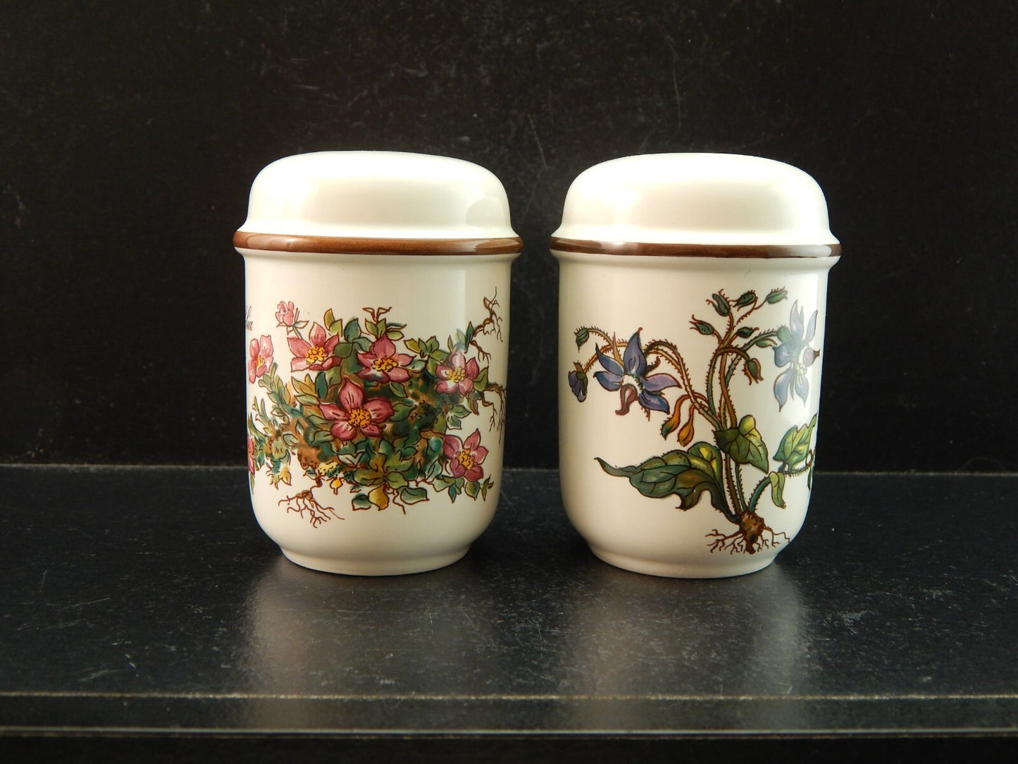 VINTAGE VILLEROY&BOCH SET SALE E PEPE PORCELLANA COLLEZIONE BOTANICA